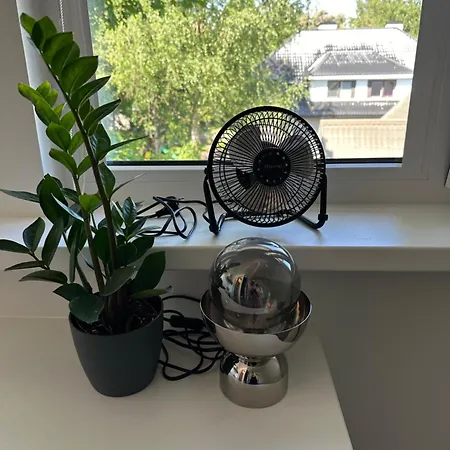 Apartment For One - Grey *